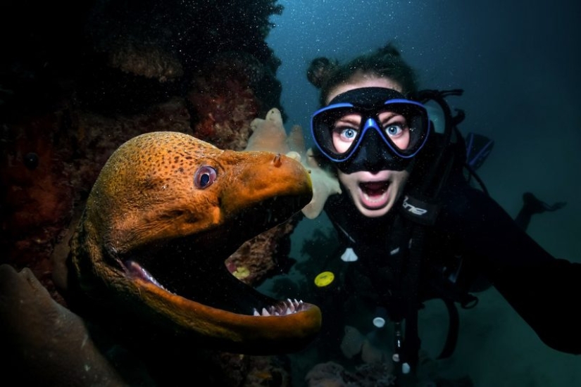 Todo el mundo llama a las imágenes con photoshop, pero son reales: imágenes increíbles de un buzo y el mundo submarino