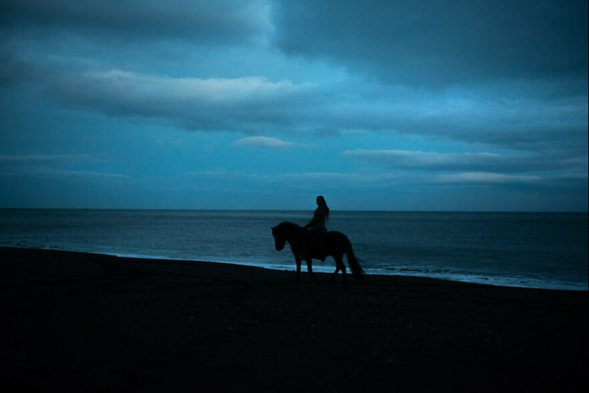 Tomé fotos de hermosos caballos en impresionantes paisajes islandeses, y aquí hay 15 de ellos