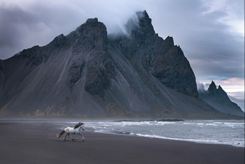 Tomé fotos de hermosos caballos en impresionantes paisajes islandeses, y aquí hay 15 de ellos