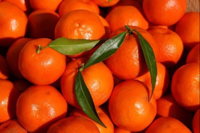 Top 10 Citrus Fruits You Probably Haven't Tried yet
