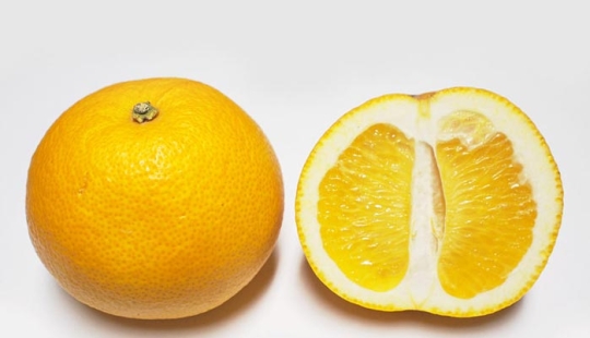 Top 10 Citrus Fruits You Probably Haven't Tried yet