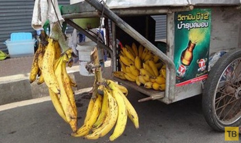 Top 10 de las Más raras e inusuales variedades de plátanos