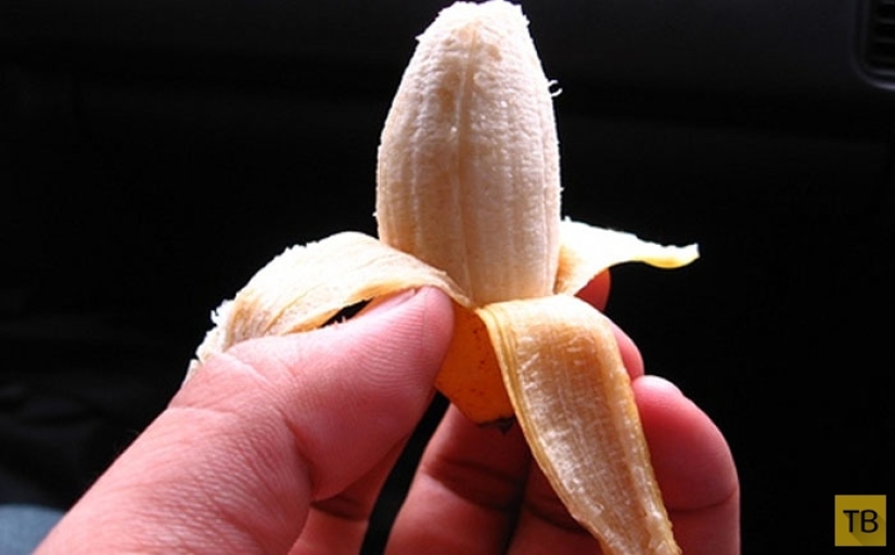 Top 10 Most rare and unusual varieties of bananas