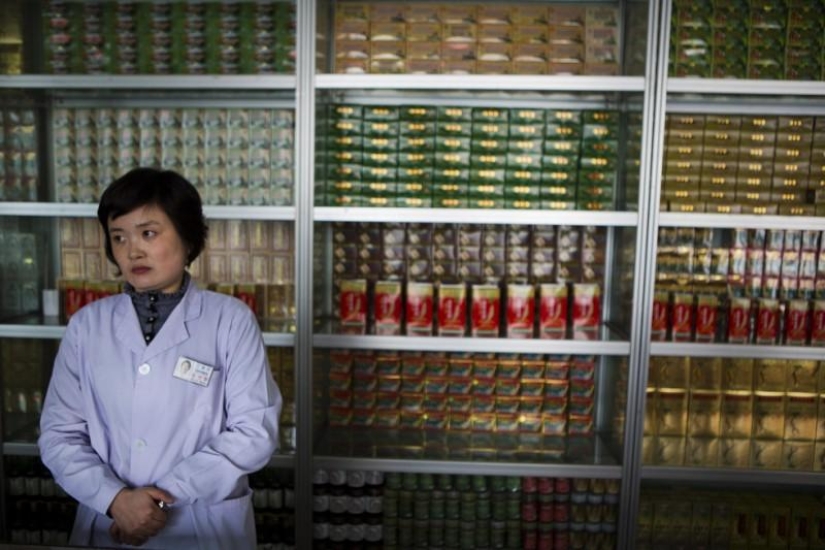 Traditional medicine in North Korea