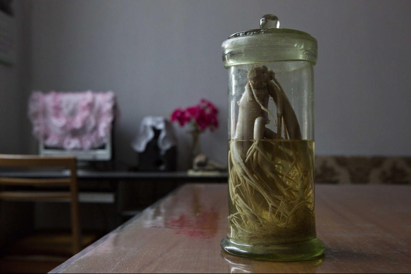 Traditional medicine in North Korea