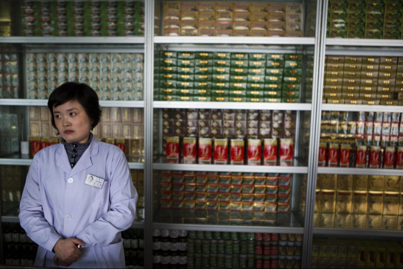 Traditional medicine in North Korea