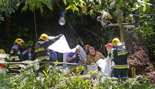 Tragedia en Portugal: un roble de 200 años mató a 13 personas