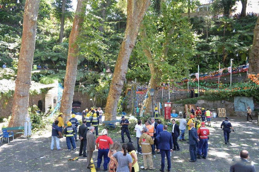 Tragedy in Portugal: 200-year-old oak tree killed 13 people