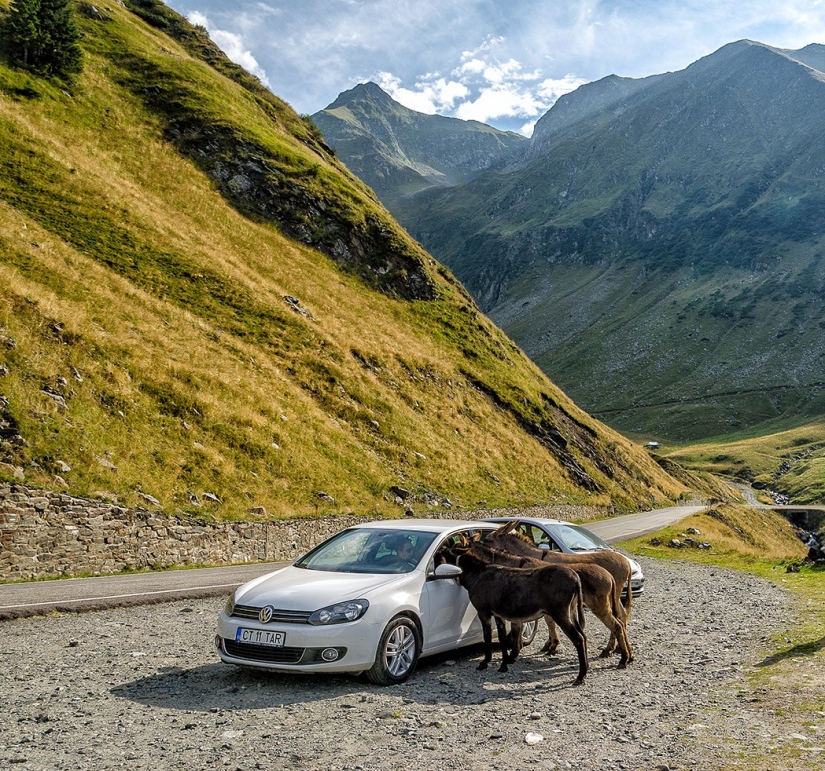 Transfagaras highway is one of the most beautiful routes in Europe