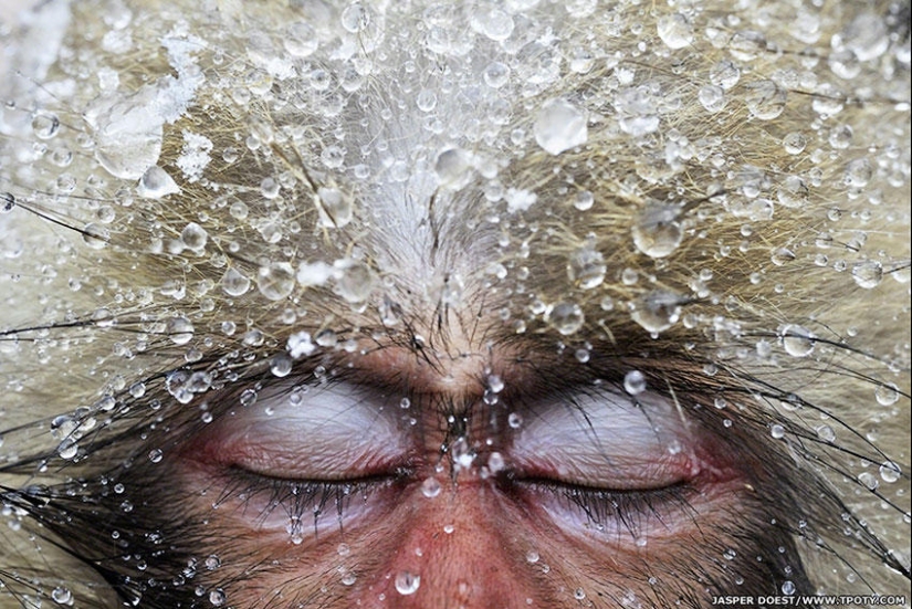 Travel Photographer Of The Year 2013 Winners