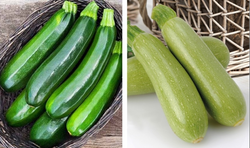 Trout and salmon, zucchini and zucchini and 6 other similar products that all confuse