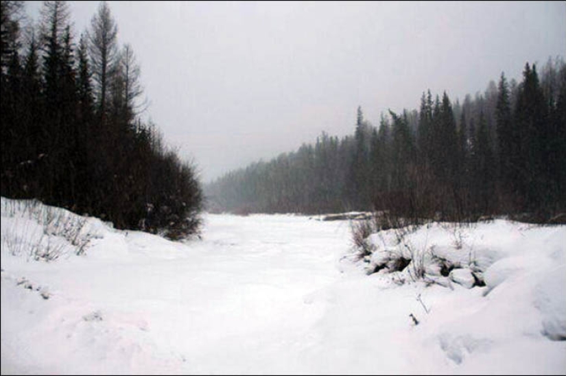 Tuvinka, de cuatro años, caminó durante seis horas a través de la taiga en -34 para pedir ayuda