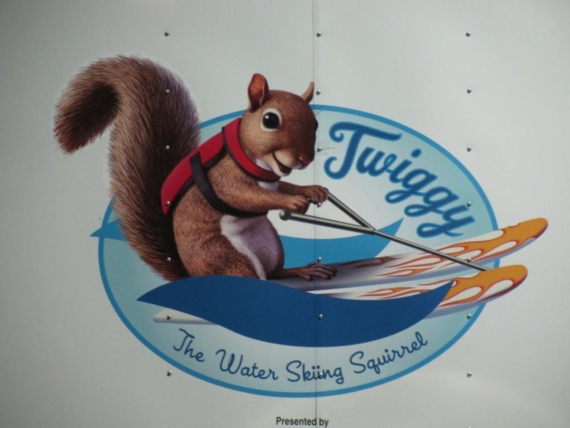 Twiggy es una ardilla que ama el esquí acuático.
