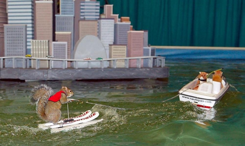 Twiggy is a squirrel who loves water skiing.