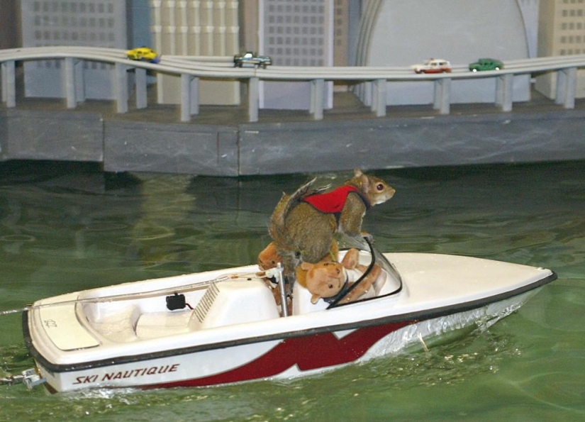 Twiggy is a squirrel who loves water skiing.