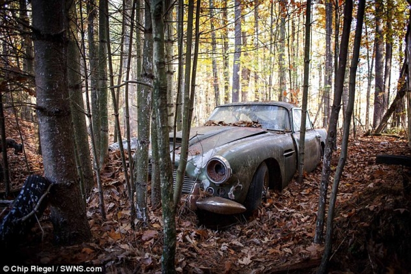 Un Aston Martin oxidado que ha estado parado en el bosque durante 40 años se vende por 400 mil dólares