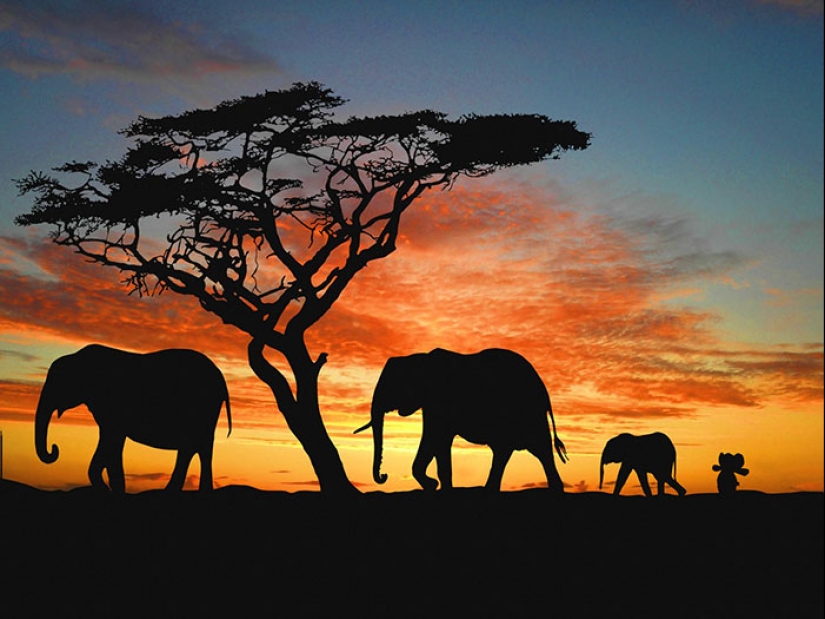 Un elefante de peluche perdido viaja por el mundo