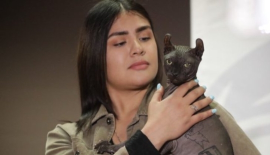 Un gato tatuado ha sido liberado de una prisión mexicana