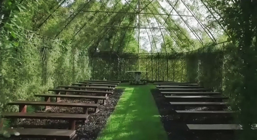 Un hombre pasó 4 años haciendo crecer una iglesia con árboles