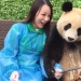 Un panda que vencerá a cualquiera en términos de selfies