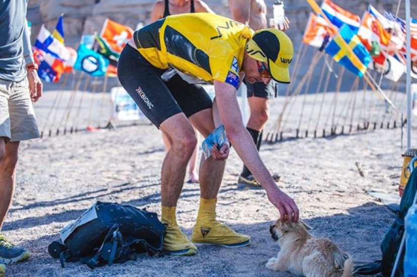 Un perro callejero corrió 40 km detrás de un atleta durante un maratón y encontró un nuevo dueño