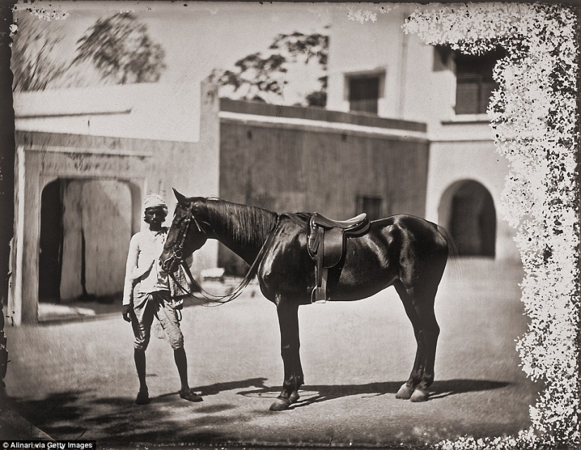 Una colección de fotografías del harén del maharajá indio que ha permanecido intacto durante más de un siglo