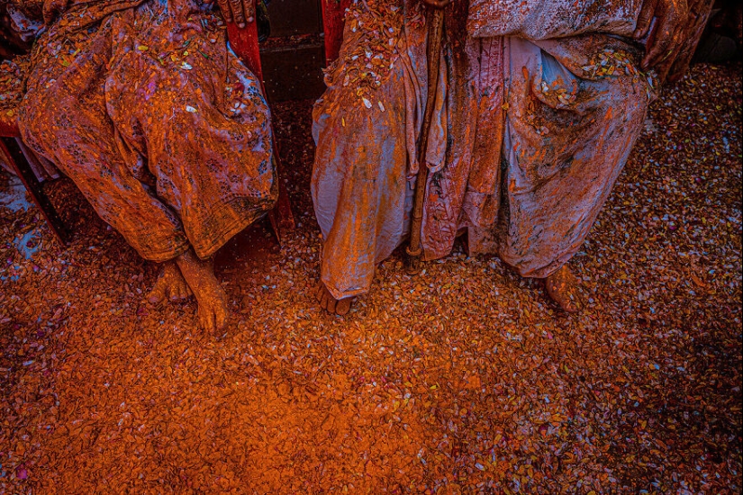 Una explosión de colores: 10 imágenes cautivadoras que ganaron la 27.ª edición de los premios de fotografía de la revista AAP (Parte 2)