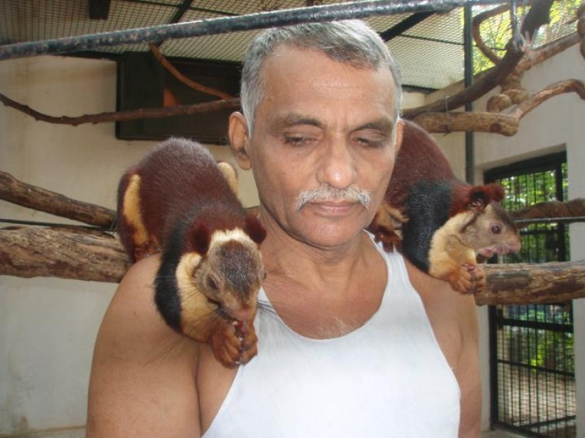Una familia india ha acogido a cientos de animales salvajes huérfanos, convirtiendo su hogar en una reserva natural