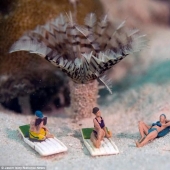 underwater life toys