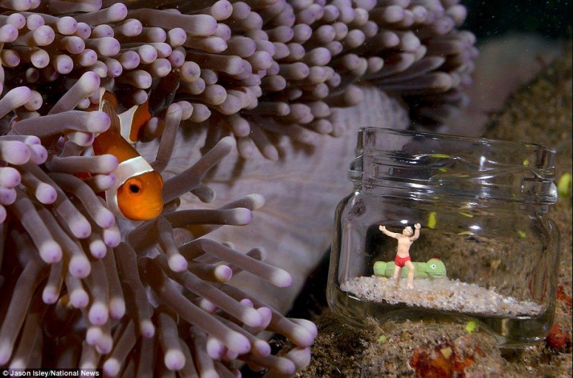 underwater life toys