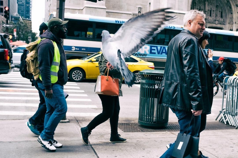 Unexpected street scenes of new York and tel Aviv in the lens of master street-photo by Ronen Berka