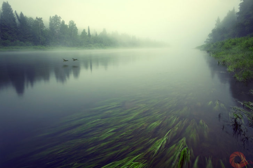 Unique photos of the wild corners of the country at the Primordial Russia festival