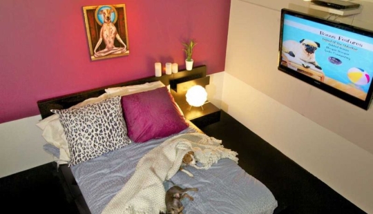 Up to $200 a Night: New York Dog Hotel