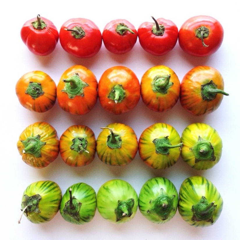 Usuario de Instagram convierte comida en pinturas de arcoíris