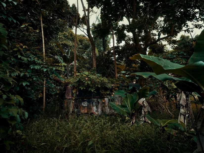 Vehículos abandonados en el Hawaiano de la selva: un proyecto fotográfico de Tomás Strigelsky