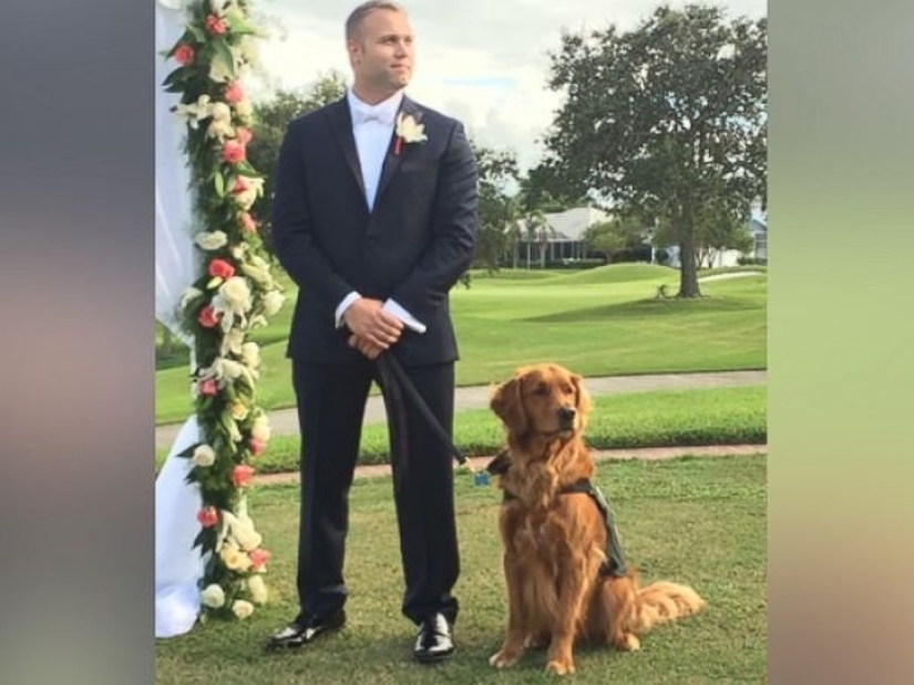 Veterano discapacitado convierte a su perro de servicio en el padrino de su boda