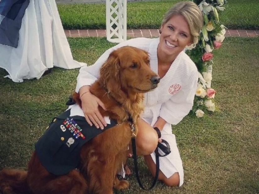 Veterano discapacitado convierte a su perro de servicio en el padrino de su boda