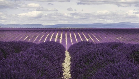 Viaje a través de la región más fragante de Francia