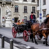 Vienna: Mandatory Program