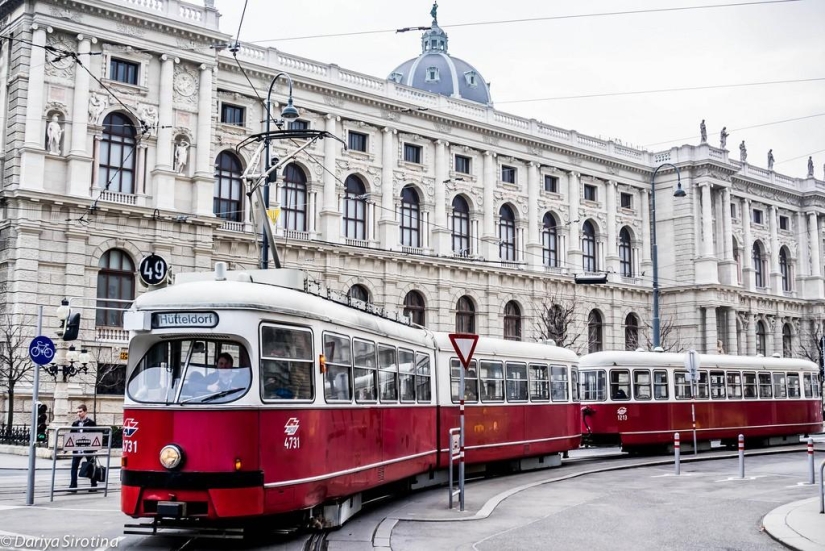 Vienna: Mandatory Program