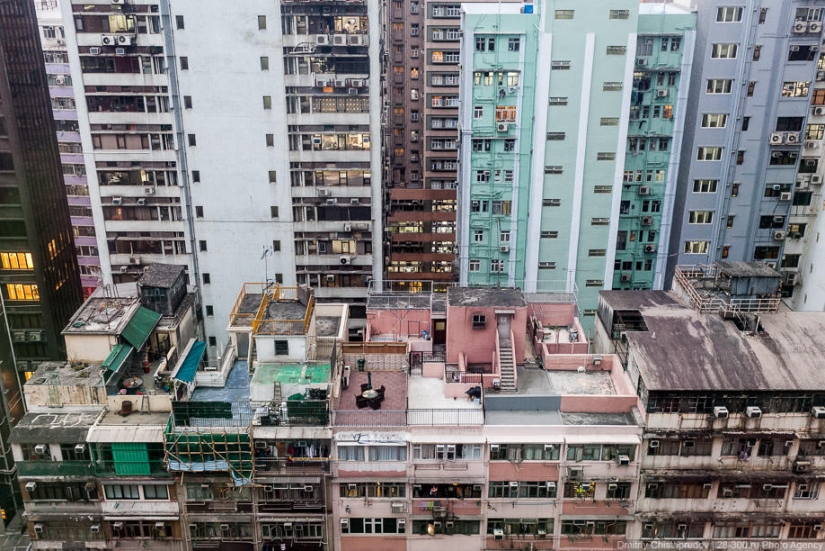 Vivienda social en Hong Kong