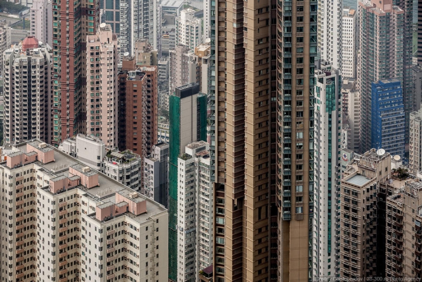 Vivienda social en Hong Kong