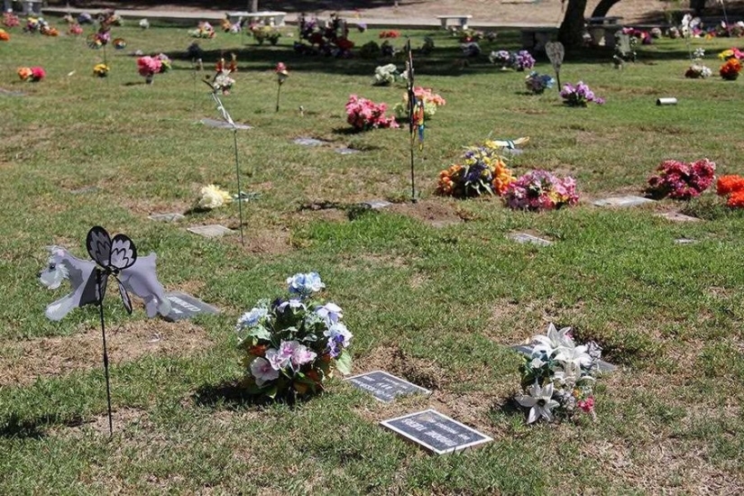 Vivirás para siempre en nuestros corazones: fotos del cementerio de mascotas de Los Ángeles