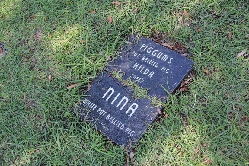 Vivirás para siempre en nuestros corazones: fotos del cementerio de mascotas de Los Ángeles