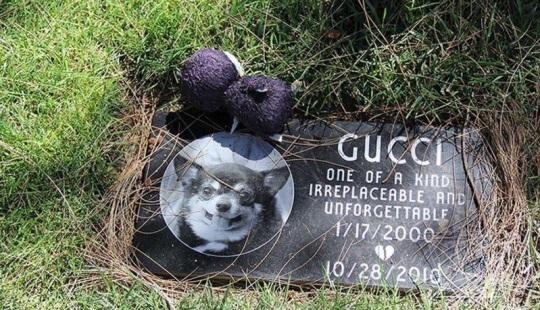 Vivirás para siempre en nuestros corazones: fotos del cementerio de mascotas de Los Ángeles Vivirás para siempre en nuestros corazones: fotos del cementerio de mascotas de Los Ángeles