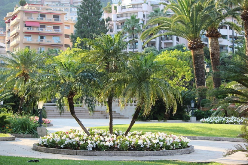 Walking around Monte Carlo