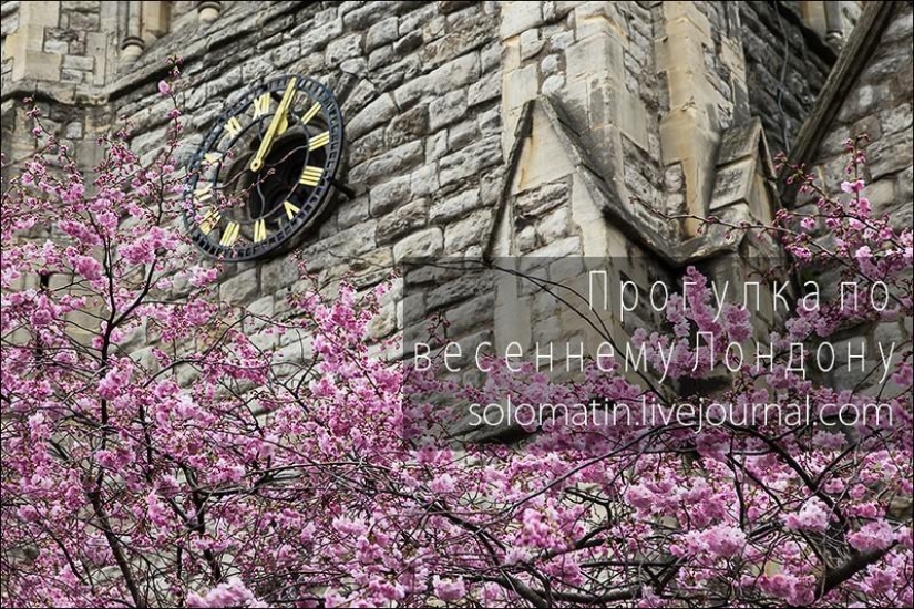 Walking in London in spring