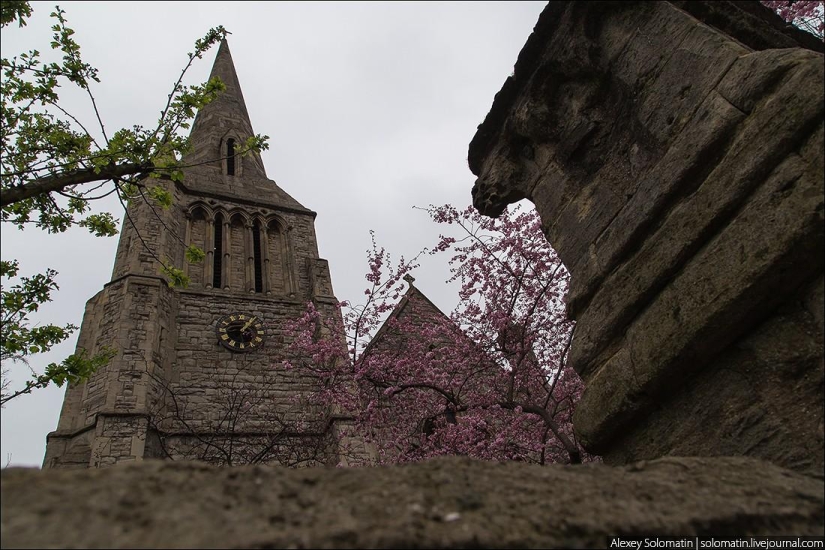 Walking in London in spring