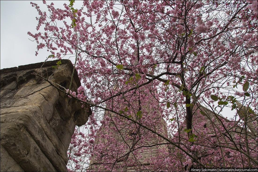 Walking in London in spring