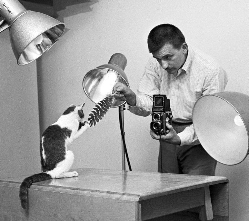 Walter Chandoha is a man who has been photographing cats for 70 years